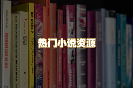 热门小说资源